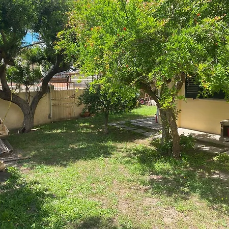 Sardinia -norvegia- Olbia