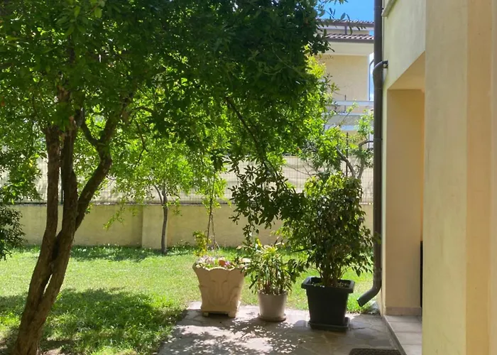 Sardinia -norvegia- *