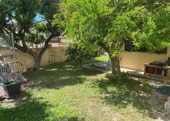 Sardinia -norvegia- Olbia